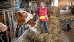 Petra Lindenhofer verlor ihre ersten zehn Kühe.  (Bild: Antal Imre)