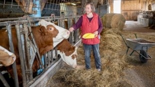 Petra Lindenhofer verlor ihre ersten zehn Kühe.  (Bild: Antal Imre)