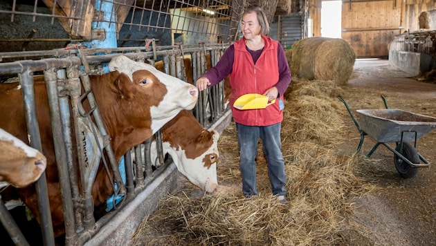 Petra Lindenhofer lost her first ten cows. (Bild: Antal Imre)