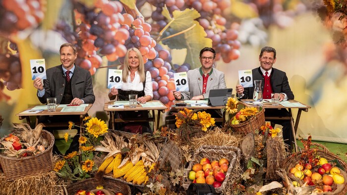 Die Jury, v.l.: Christian Hartl (Volksmusiklehrer und Musikschuldirektor), Christine Gutzelnig ...