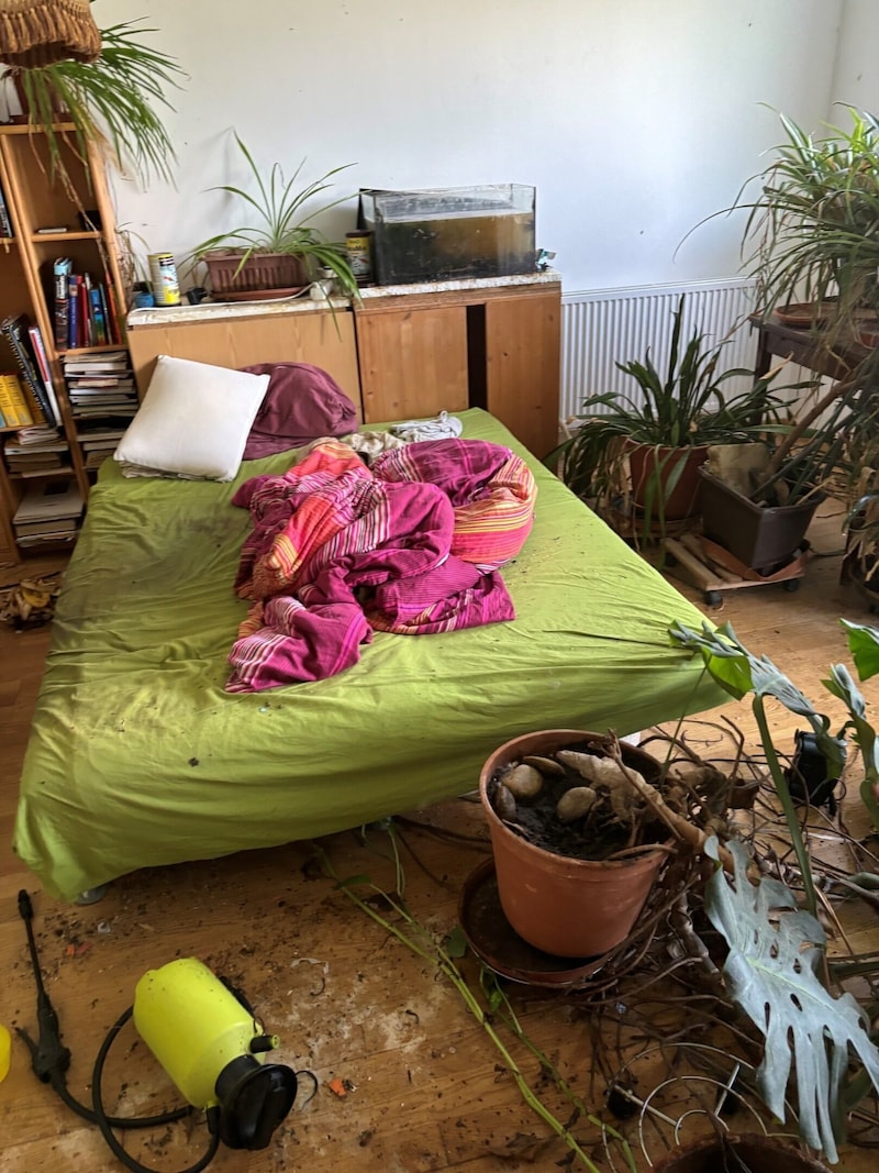 Messies usually don't maintain their pets' living space either, as the filthy aquarium in the background shows. (Bild: Messie Austria)