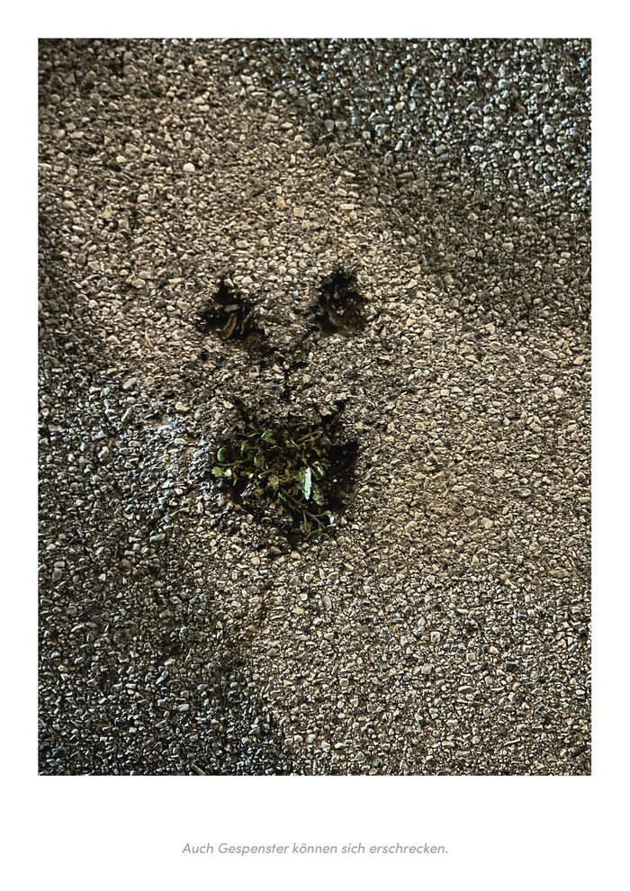 "Even ghosts can get scared." One of the "creatures" that Schalko discovered.