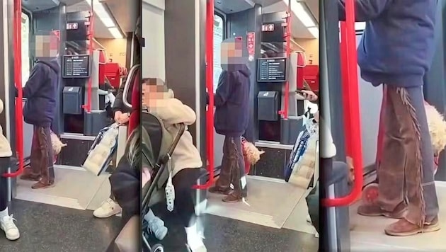 Passengers filmed the lady putting the dog in a bag. (Bild: Tierschutzverein Hunde-Such-Hilfe-Österreich)