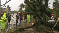 Ein umgestürzter Baum muss von der Straße entfernt werden. (Bild: APA/AFP/Casiguran Municipal Risk Reduction)