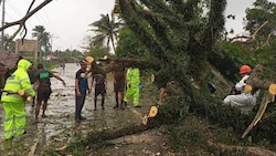 Ein umgestürzter Baum muss von der Straße entfernt werden. (Bild: APA/AFP/Casiguran Municipal Risk Reduction)