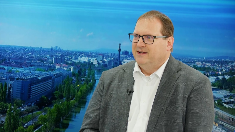 Vice President of Pharmig, Bernhard Wittmann, in the krone.tv talk (Bild: krone.tv)