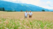 Seit bald 30 Jahren wird in Kärnten Hadn produziert – die Produkte werden immer vielfältiger und ...