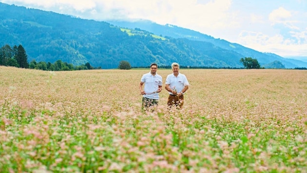 Seit bald 30 Jahren wird in Kärnten Hadn produziert – die Produkte werden immer vielfältiger und beliebter. (Bild: Arnold Pöschl)