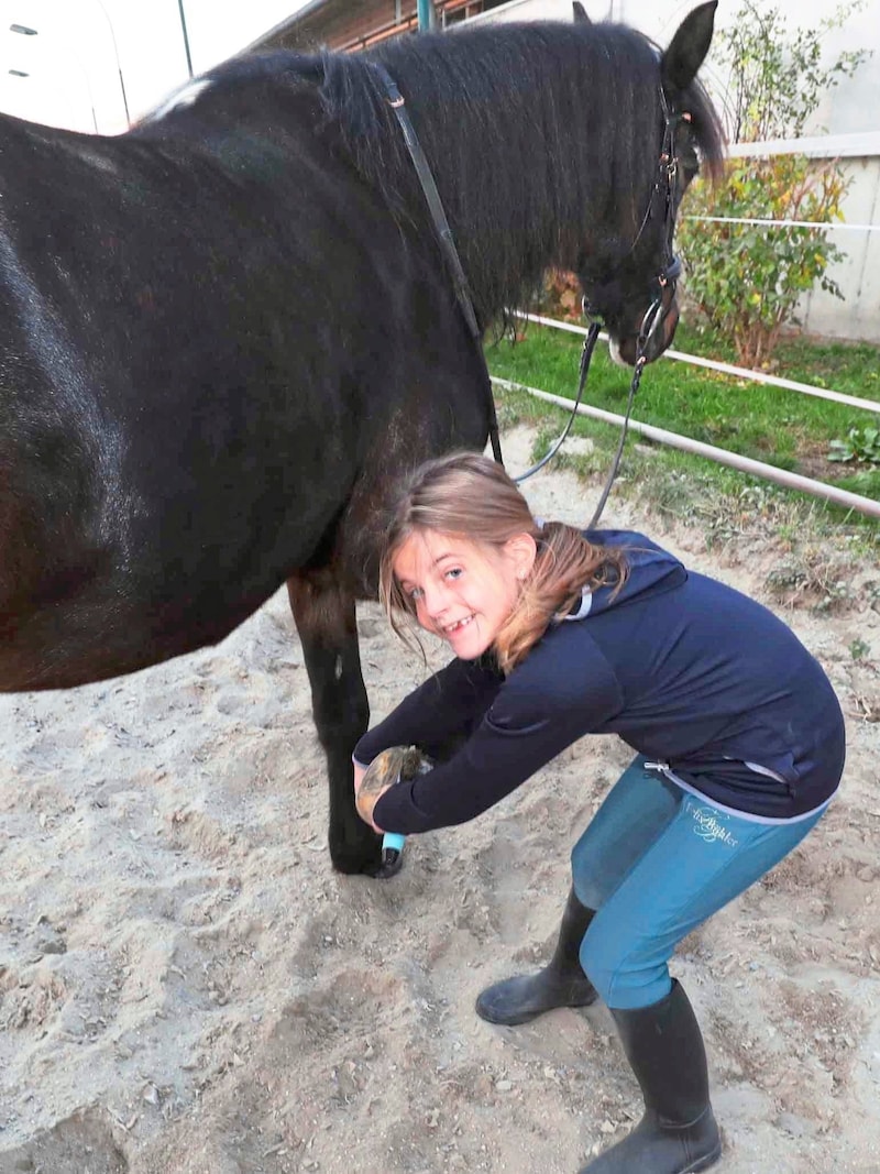 Fürs liebevolle Kämmen, Striegeln und Hufe auskratzen....  (Bild: Reinhard Judt)