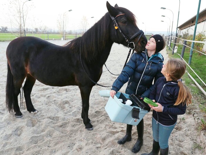 the little mare gives her riding students a kiss.