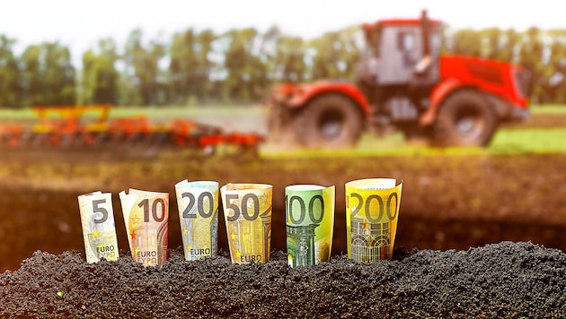 The EU Commission wants to break the farmers' resistance with money. (Bild: stock.adobe.com/WEDPHOTO)