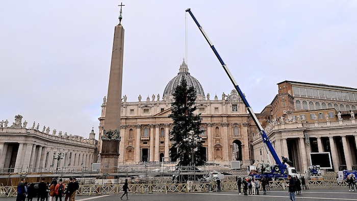 Im Jahr 2022 musste sich der Papst nach Protesten mit einem Baum aus der Baumschule begnügen.