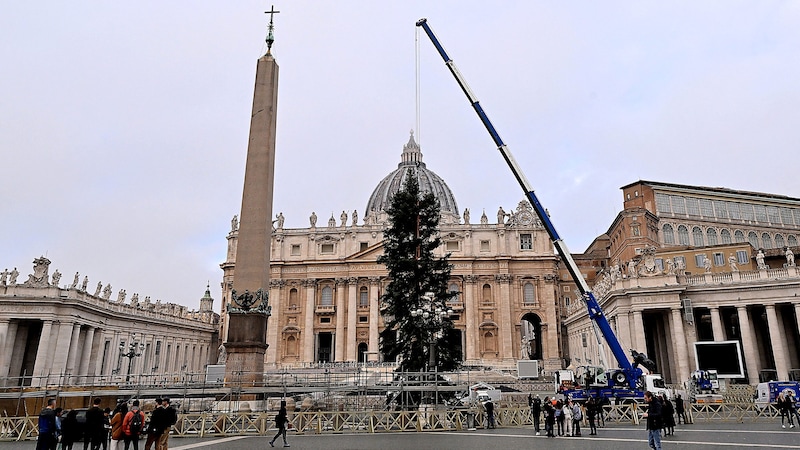 In 2022, the Pope had to make do with a tree from the nursery after protests. (Bild: APA/AFP/Tiziana FABI)