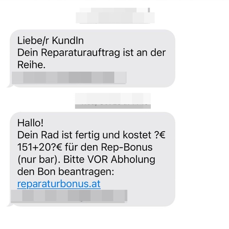 Diese SMS machte den 20-Jährigen stutzig (Bild: Krone KREATIV)