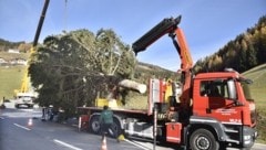 Der Christbaum für Salzburg wurde am Katschberg verladen. (Bild: Holitzky Roland)