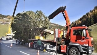 Der Christbaum für Salzburg wurde am Katschberg verladen. (Bild: Holitzky Roland)