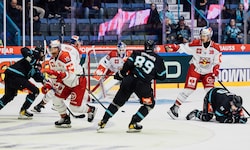 Die Bulls-Abwehr um Goalie Tolvanen machte in Lahti einen tollen Job.