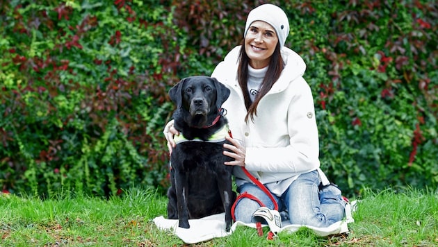 Maggie Entenfellner and her team are committed to the welfare of all four-legged friends - as in the case of the dog "Tasha". (Bild: Krone KREATIV/Holl)