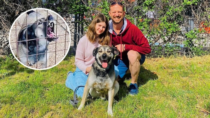 „Rafi“ hat nun bei Familie M. in Wien sein Glück gefunden und sich zu einem prächtigen ...
