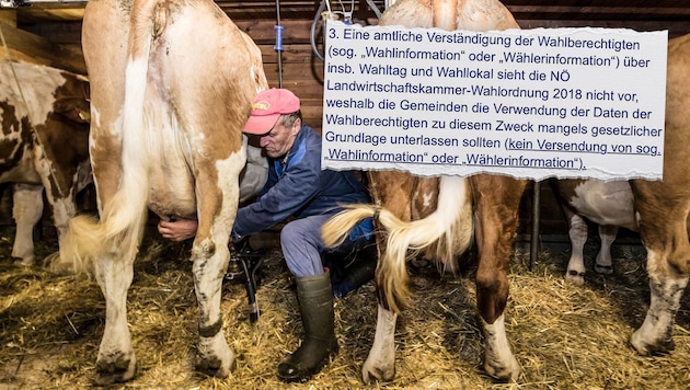 The Chamber of Agriculture elections take place in March. A letter from the state is already causing a stir. (Bild: Krone KREATIV/Johann Groder / EXPA / picturedesk.com)