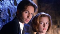 David Duchovny und Gillian Anderson, die Stars der Kultserie „Akte X – Die unheimlichen Fälle des FBI“ konnten sich nicht ausstehen. (Bild: picturedesk.com/mptv / picturedesk.com)