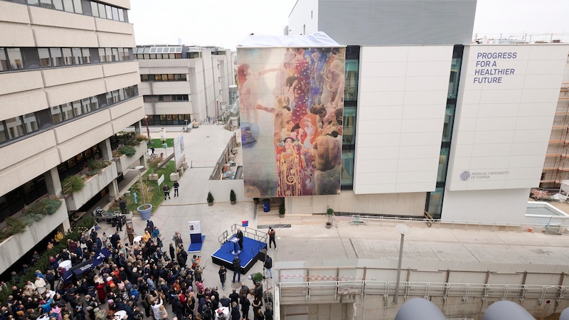 The reproduction can be found on the side façade of the new research building. (Bild: Medizinische Universität Wien/APA-Fotoservice/Schedl)