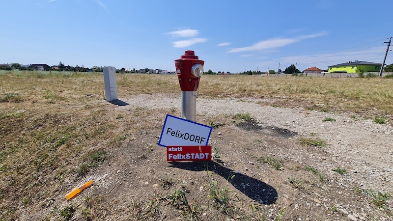 Between Theresienfeld and Felixdorf, the housing cooperative has bought an area the size of seven soccer pitches. The area has not yet been rezoned. (Bild: ZVG)