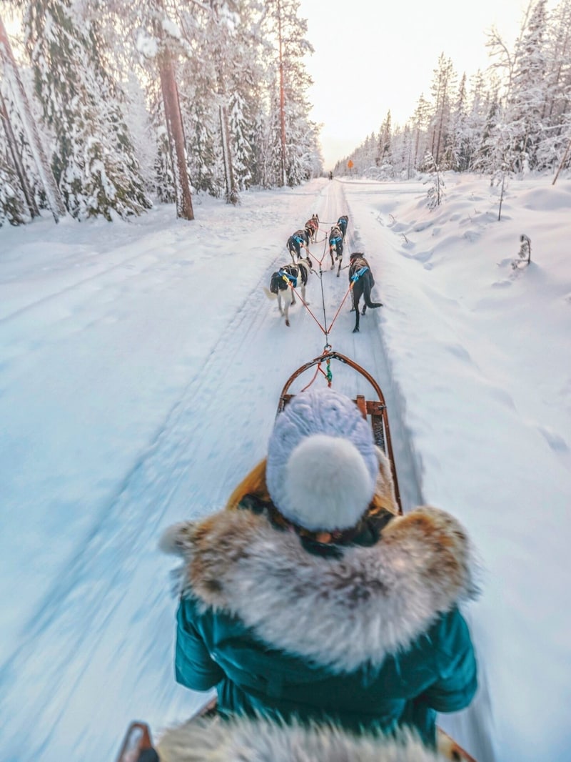 Achtung, Schneemobile! Doch Schlittenhund- Gespanne haben hier Vorrang. (Bild: Getty Images)