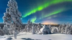 Tief verschneiter Wald im finnischen Lappland: Nordlichter (Aurora borealis) in der Dämmerung. (Bild: Thomas Kast/Prima Reisen)