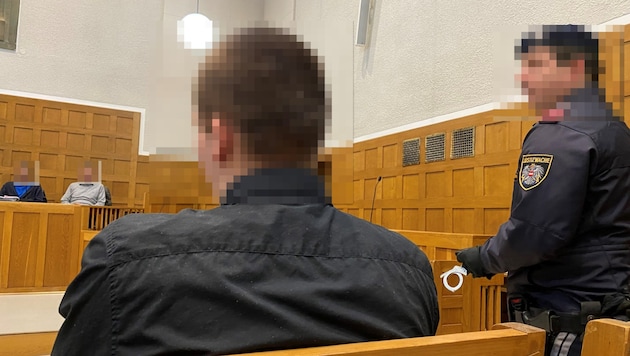 The second defendant received four and a half years in prison. (Bild: Dorn Chantall/Krone KREATIV)