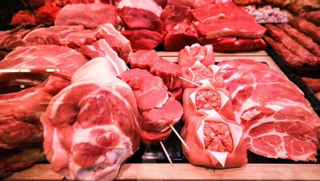 In Nordfrankreich ist eine Zwölfjährige gestorben, nachdem sie bakteriell verunreinigtes Fleisch ...