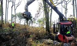 Archivbild aus dem Jahr 2014: Vorbereitungsarbeiten für ein Dammprojekt in Frankreich