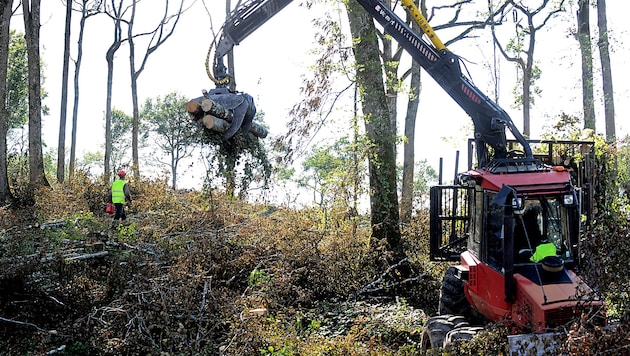 Archivbild aus dem Jahr 2014: Vorbereitungsarbeiten für ein Dammprojekt in Frankreich (Bild: APA/AFP/REMY GABALDA)