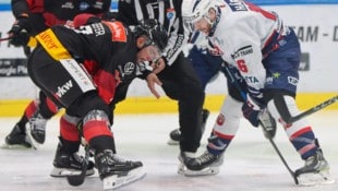 (Bild: Dorner_pioneers.hockey)