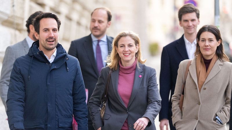 Christoph Wiederkehr, Niki Scherak, NEOS-Chefin Beate Meinl-Reisinger, Douglas Hoyos und Claudia Gamon (Bild: APA/GEORG HOCHMUTH)