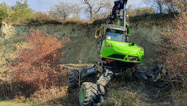 A bee-eater wall is expertly cleared of bushes. (Bild: Naturpark Rosalia-Kogelberg)