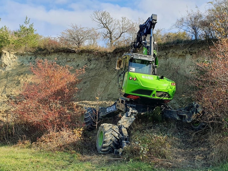 A bee-eater wall is expertly cleared of bushes. (Bild: zVg)