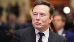 Elon Musk setzt auch im neuen Jahr seine öffentliche Unterstützung für Rechtsextreme fort. (Bild: AFP/Getty Images/Andrew Harnik)