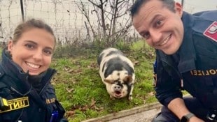 Die beiden Linzer Polizeibeamten Nina und Michael mit Schwein „Günther“ (Bild: Polizei OÖ)