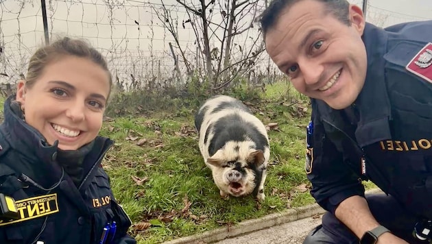 The two Linz police officers Nina and Michael with pig "Günther" (Bild: Polizei OÖ)