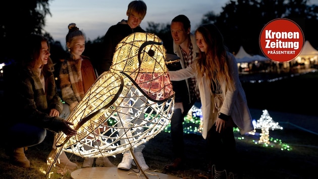 Wenn es dunkel wird, taucht im Lichterpark Lumagica eine strahlende Märchenwelt auf und verzaubert mit fantasievollen Bildern. (Bild: MK Illumination)