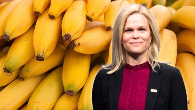 Paulina Brandberg is a strong woman in Swedish politics - only the sight of bananas gives her pause. (Bild: Krone KREATIV/stock.adobe.com/haitaucher39, APA/AFP/TT News Agency/Caisa )