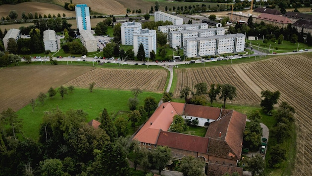 Christa P. died in one of the high-rise buildings in Ebelsberg in October of the previous year. This year in June, she was found in a field behind the farm. (Bild: Markus Wenzel)