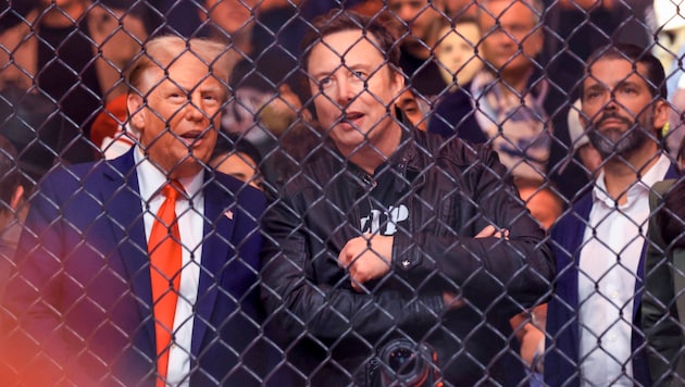 Donald Trump (l.) und Elon Musk beim Schwergewichtskampf zwischen Stipe Miocic und Jon Jones im Madison Square Garden. (Bild: AFP/APA/Kena Betancur)