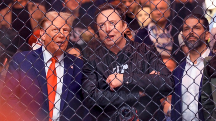 Trump und Musk bei einem gemeinsamen Besuch eines Mixed-Martial-Arts-Events in New York
