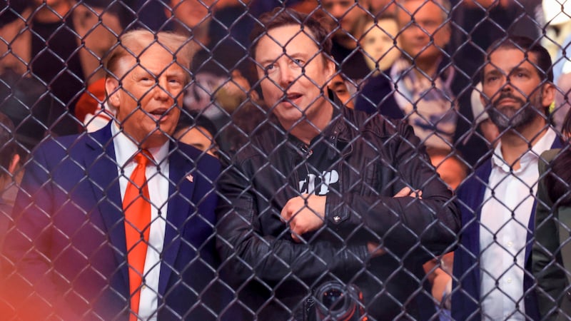 Trump and Musk at a joint visit to a mixed martial arts event in New York (Bild: APA/AFP/Kena Betancur)