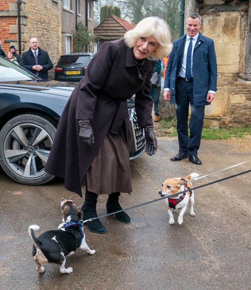 Königin Camilla mit  „Beth“ und „Bluebell“  (Bild: Pool / Eyevine / picturedesk.com)