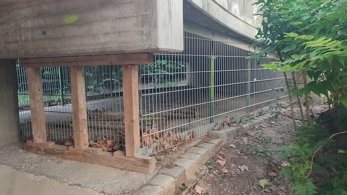 Gegenüber der Thürnlhof-Siedlung wurde mit baulichen Absperrungen verhindert, dass sich Obdachlose den Platz unter der Rampe in Beschlag nehmen können.