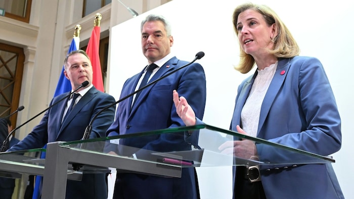 Die Grünen befürchten, dass das Dreigespann Andreas Babler, Karl Nehammer und Beate ...