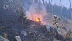 60 Lungauer Feuerwehrleute waren im Einsatz. (Bild: Feuerwehr Lungau)